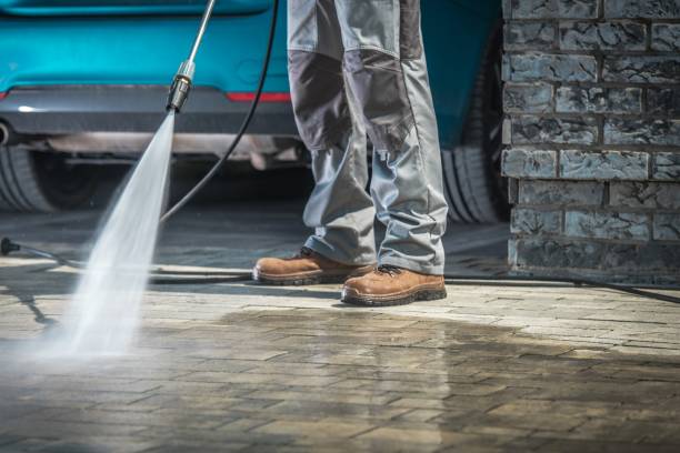 Best Driveway Pressure Washing  in Ocoee, FL