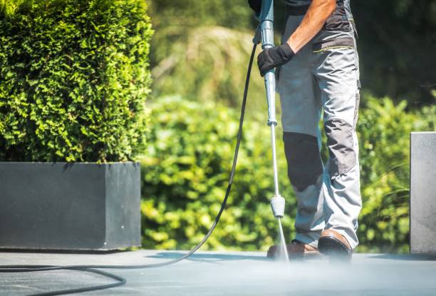Best Solar Panel Cleaning  in Ocoee, FL
