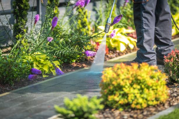 Best Winterizing Services  in Ocoee, FL