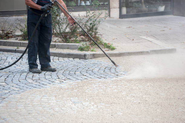 Best Dumpster Area Cleaning  in Ocoee, FL