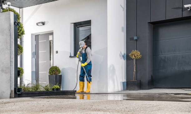 Best Gutter Cleaning  in Ocoee, FL