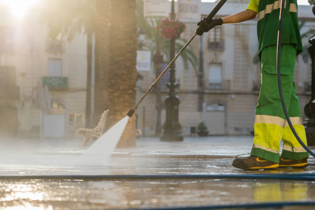 Best Animal Enclosure Cleaning  in Ocoee, FL